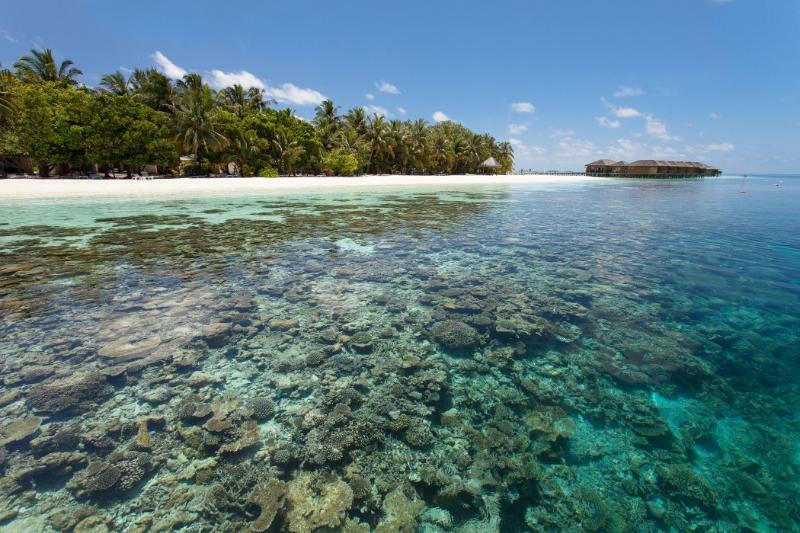 Vilamendhoo Island & Курортный комплекс Дангети